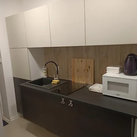 Essential Future Space Apartment Kattowitz